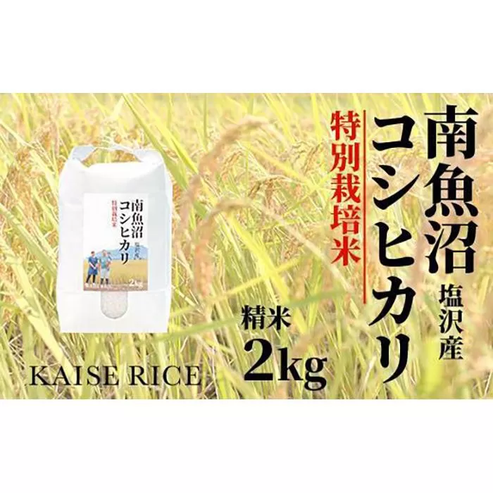 【新米予約９／１５発送スタート】令和６年度産 南魚沼産塩沢コシヒカリ（特別栽培米８割減農薬）精米２ｋｇ