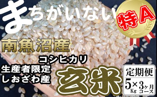 定期便】玄米 生産者限定 南魚沼しおざわ産コシヒカリ5Kg×3ヶ月｜南魚沼市｜新潟県｜返礼品をさがす｜まいふる by AEON CARD