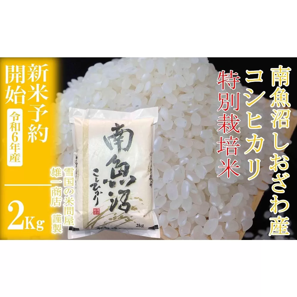 【新米予約・令和6年産】精米2Kg ※特別栽培※生産者限定 南魚沼しおざわ産コシヒカリ