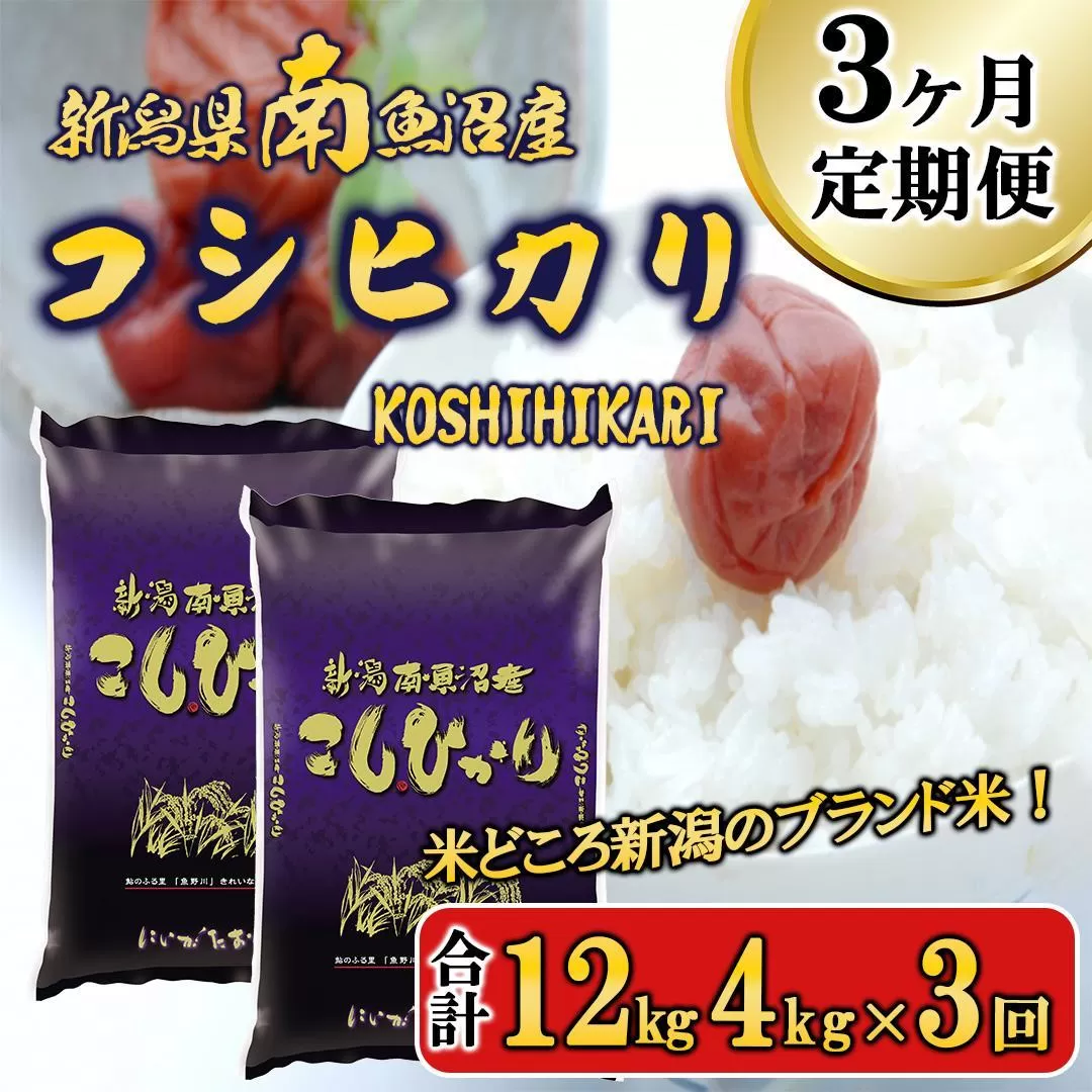 【令和6年産新米予約／令和6年11月上旬より順次発送】【F-3定期便】南魚沼産コシヒカリ4kg×3回