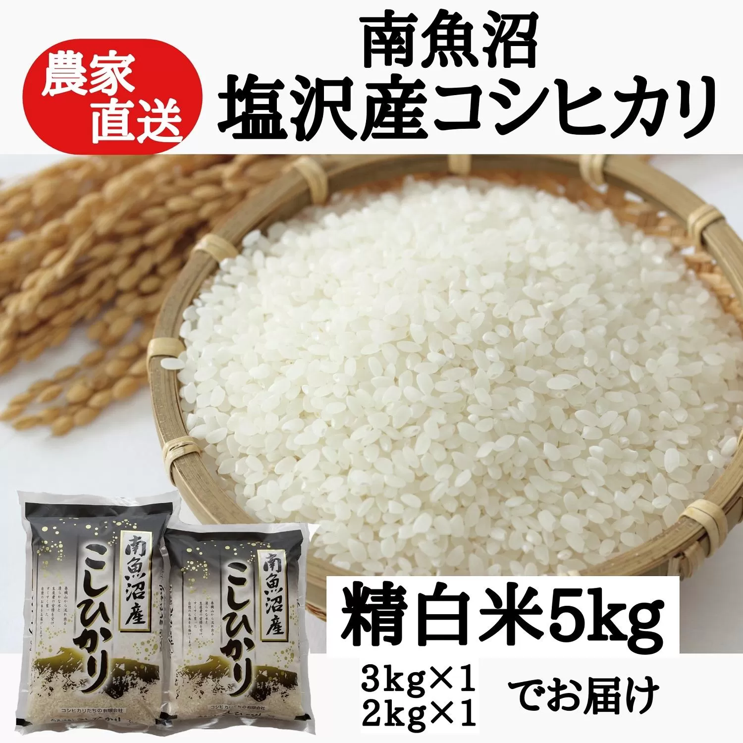 農家直送！【新米予約】令和６年産　南魚沼塩沢産コシヒカリ　精白米５ｋｇ