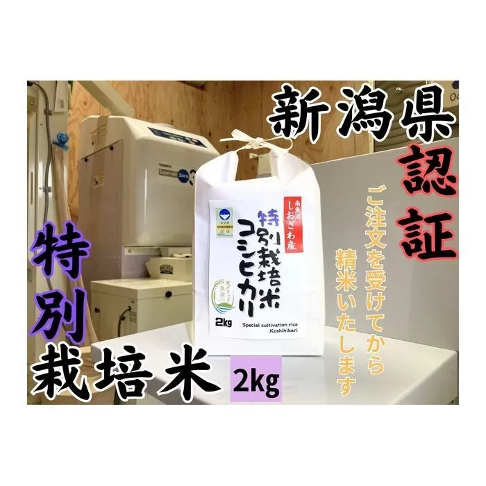 新潟県南魚沼　しおざわ産特別栽培米コシヒカリ　2kg　新米