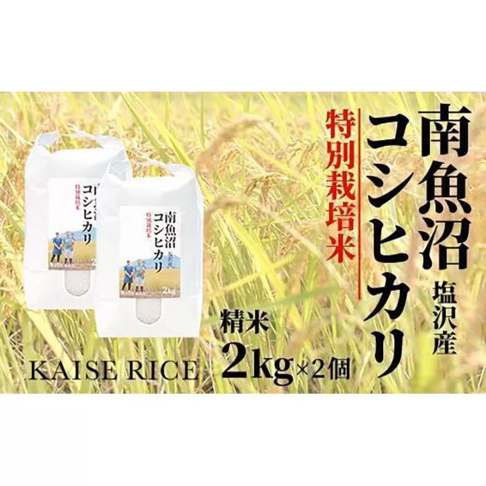 【新米予約９／１５発送スタート】令和６年度産 南魚沼産塩沢コシヒカリ（特別栽培米８割減農薬）精米２ｋｇ×２個