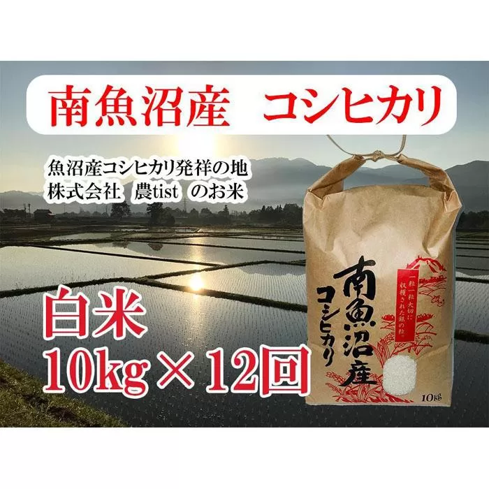 【定期便 南魚沼産】コシヒカリ 白米10kg×12回