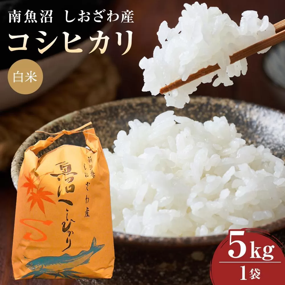 【令和６年度産  新米予約】《語り伝えられる地》南魚沼しおざわ産コシヒカリ５Ｋｇ（白米）