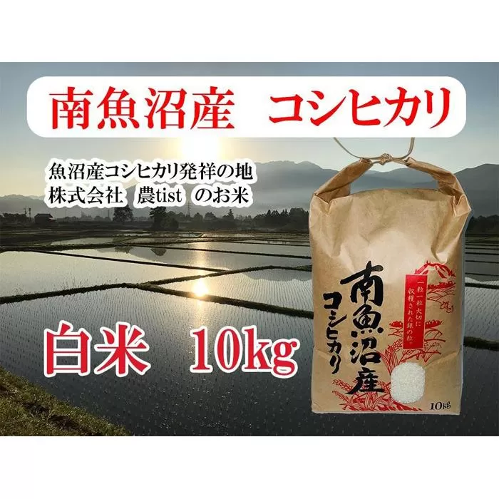 【南魚沼産】コシヒカリ 白米10kg