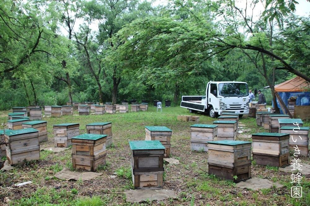 さいき養蜂園 天然ピュアはちみつお試しセット 135g×5種｜南魚沼市｜新潟県｜返礼品をさがす｜まいふる by AEON CARD