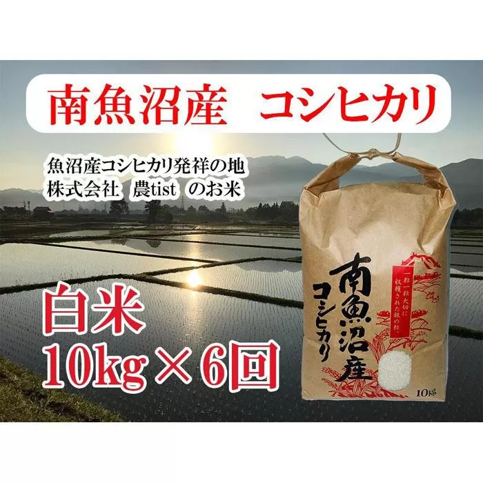 【定期便 南魚沼産】コシヒカリ 白米10kg×6回