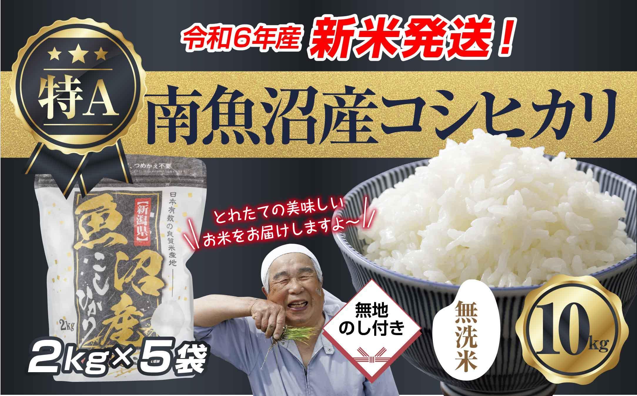 新米‼︎】令和6年9月末収穫 えびの産 白米 ヒノヒカリ ひける 10㎏