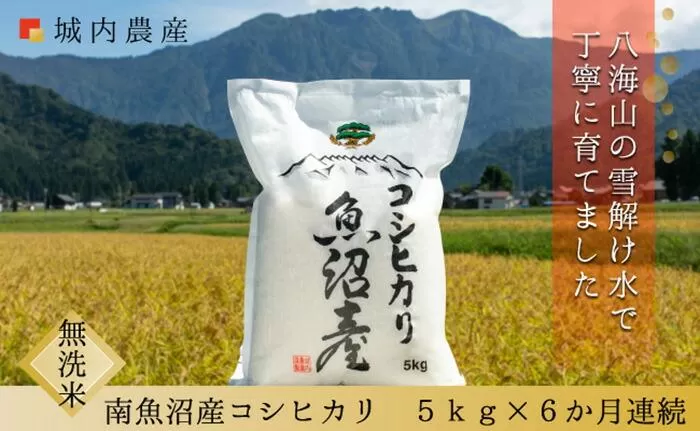 【令和6年産新米予約】【お米定期便/全６回】南魚沼産コシヒカリ　無洗米５ｋｇ＜５割減農薬栽培米＞　城内農産