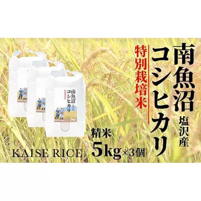 【新米予約９／１５発送スタート】令和６年度産 南魚沼産塩沢コシヒカリ（特別栽培米８割減農薬）精米５ｋｇ×３個