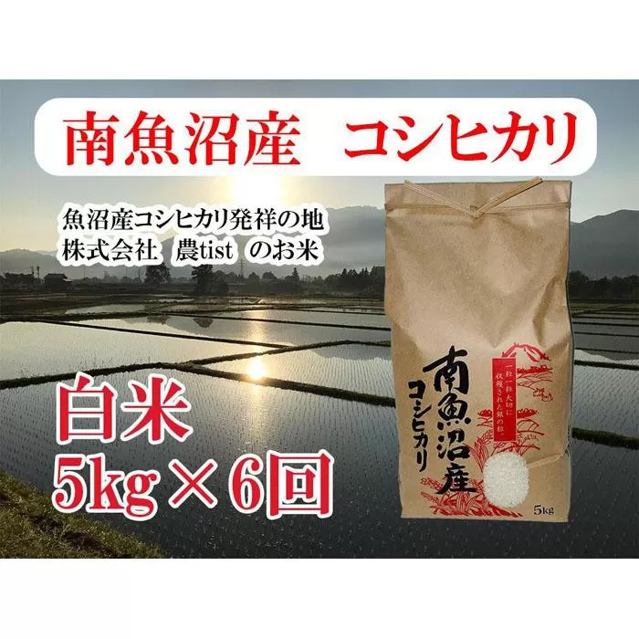 【定期便 南魚沼産】コシヒカリ 白米5kg×6回