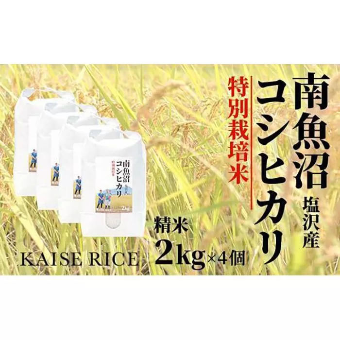 【新米予約９／１５発送スタート】令和６年度産 南魚沼産塩沢コシヒカリ（特別栽培米８割減農薬）精米２ｋｇ×４個