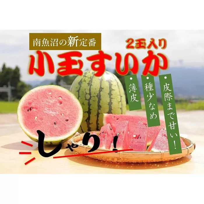 【令和6年/小玉すいか予約】パリ！シャリ！甘～い！2玉入り【食べきりサイズ】