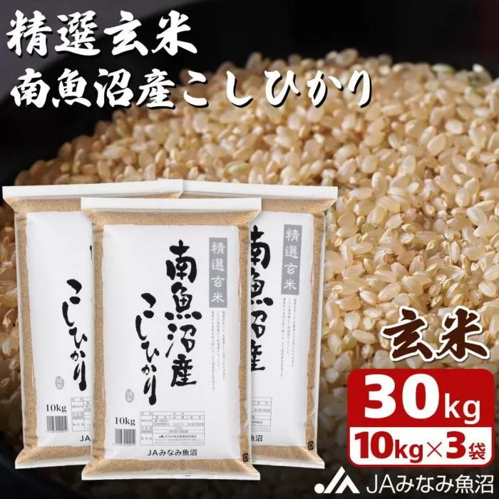 【令和6年産＼新米／】南魚沼産こしひかり精選玄米30kg