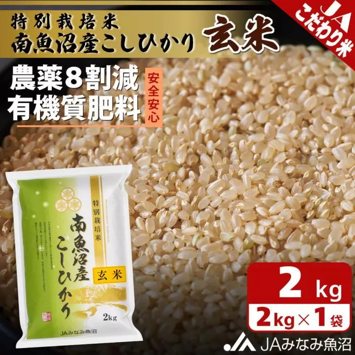 【令和6年産＼新米／】特別栽培米南魚沼産こしひかり8割減玄米2kg