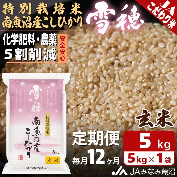 【JAみなみ魚沼定期便】特別栽培米南魚沼産こしひかり「雪穂」玄米（5kg×全12回）