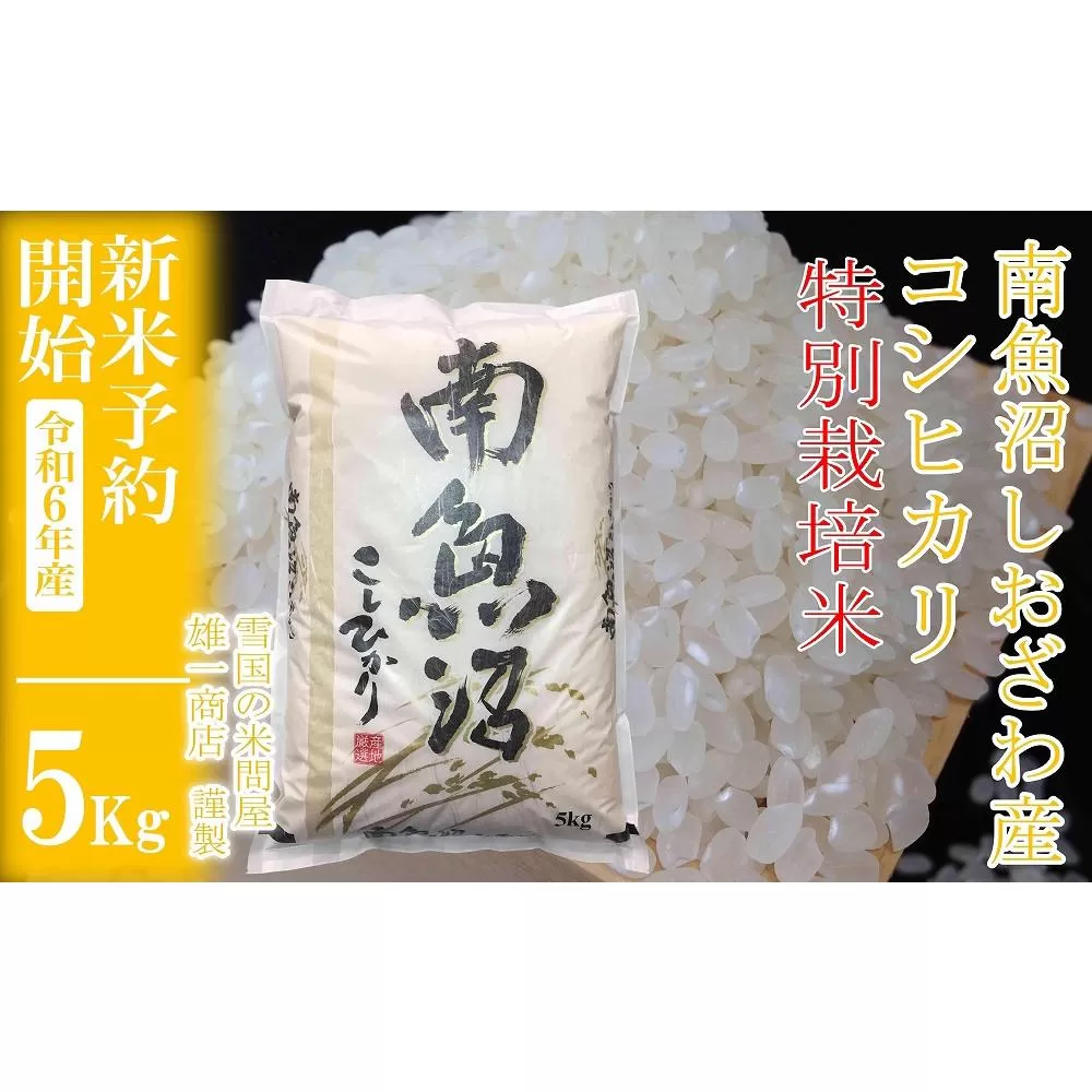 【新米予約・令和6年産】精米5Kg ※特別栽培※生産者限定 南魚沼しおざわ産コシヒカリ