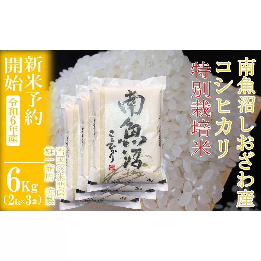 【新米予約・令和6年産】精米6Kg ※特別栽培※生産者限定 南魚沼しおざわ産コシヒカリ