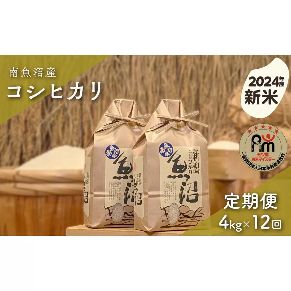 【新米】令和６年産「五つ星お米マイスター」の南魚沼産コシヒカリ　精米４kg（２kg×２個）×12回（毎月定期便）