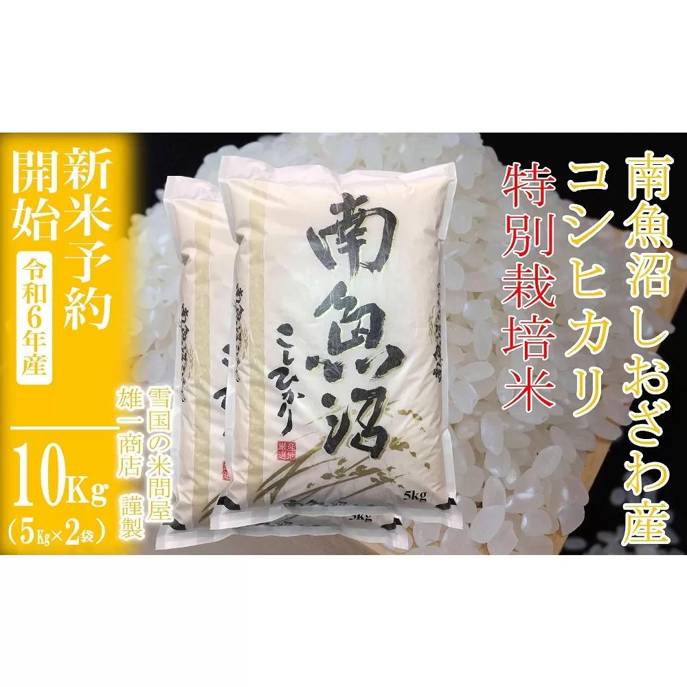 【新米予約・令和6年産】精米10Kg ※特別栽培※生産者限定 南魚沼しおざわ産コシヒカリ