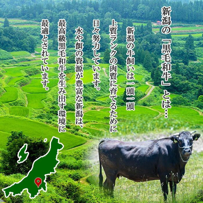 ES64 新潟牛 南魚沼産 にいがた 黒毛和牛 焼き肉用 500ｇ 新潟県