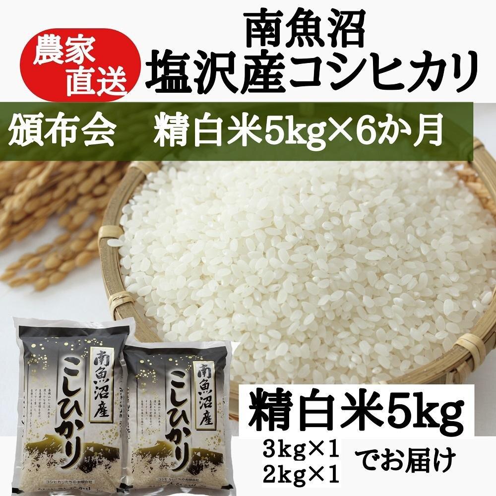 高評価安い農家のコシヒカリ 米/穀物