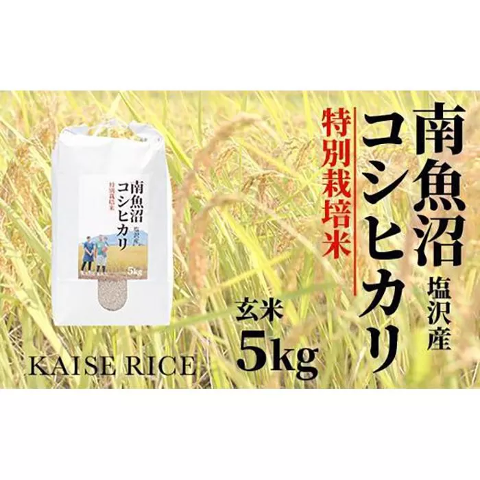 【新米予約９／１５発送スタート】令和６年度産 南魚沼産塩沢コシヒカリ（特別栽培米８割減農薬）玄米５ｋｇ