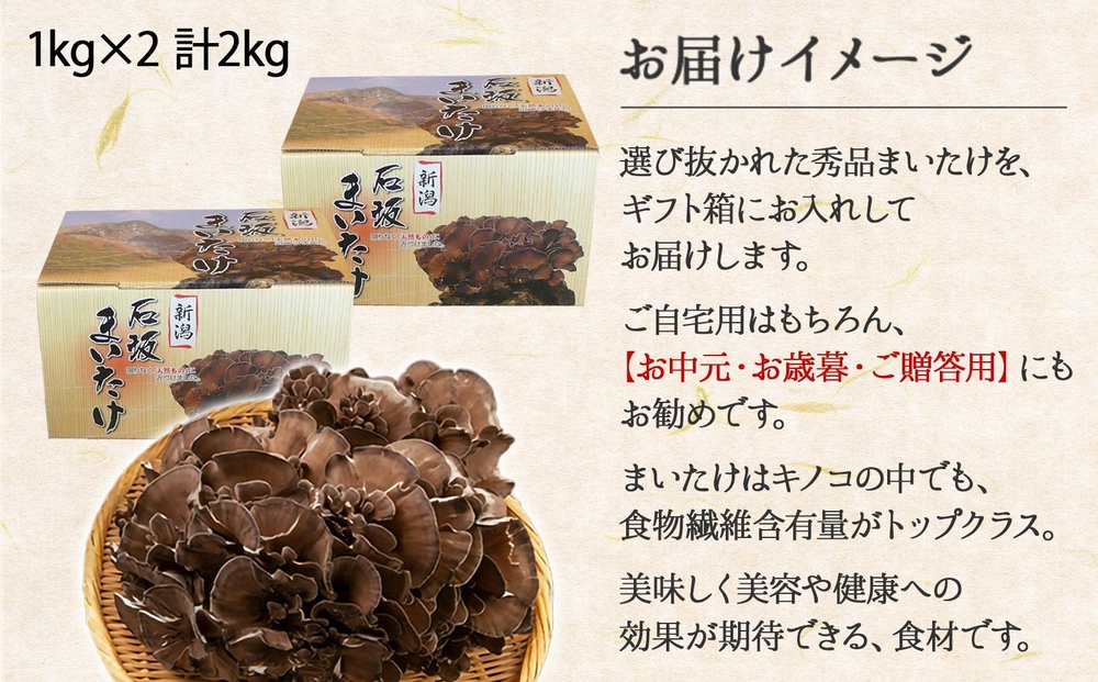 新潟県 南魚沼産 厳選 国産 石坂 高級 舞茸 まいたけ 産地直送 1kg ×2箱 計2kg 石坂きのこ｜南魚沼市｜新潟県｜返礼品をさがす｜まいふる  by AEON CARD