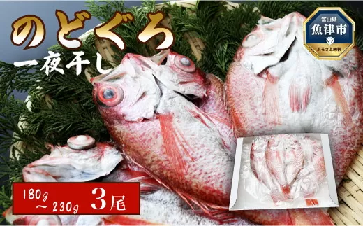 日本海産 のどぐろ開き 180g〜230g級 3尾（のど黒・アカムツ） 富山 魚津 浜浦水産