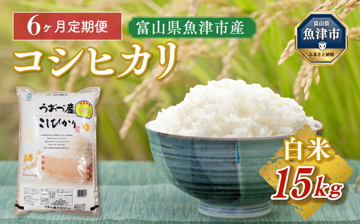 令和6年度米】【定期便】15kg（5kg3袋）×6ヶ月定期便 富山県うおづ産米コシヒカリ ※2024年10月中旬頃より順次発送予定  ※北海道、沖縄、離島配送不可｜魚津市｜富山県｜返礼品をさがす｜まいふる by AEON CARD