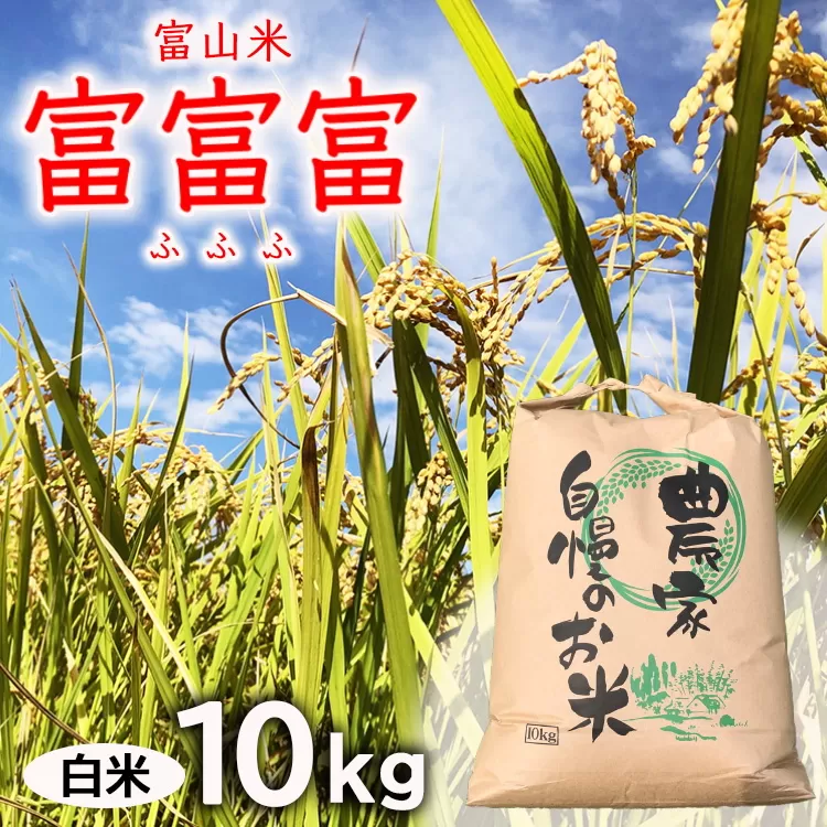 【新米予約】農家直送「 富富富 」10kg（白米）｜富山米 ふふふ　※北海道・沖縄・離島への配送不可　※2024年9月下旬頃より順次発送予定