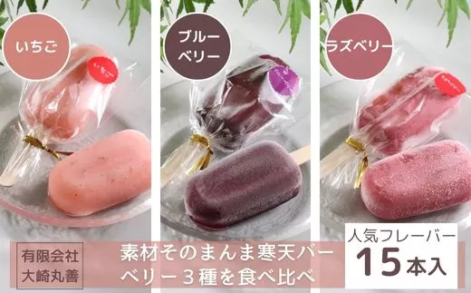 素材そのまんま寒天バー 人気のベリー3種を食べ比べ 15本入 ｜ お菓子 スイーツ 寒天 和菓子 生菓子 ※2024年8月上旬～9月中旬頃に順次発送予定 ※北海道・沖縄・離島への配送不可