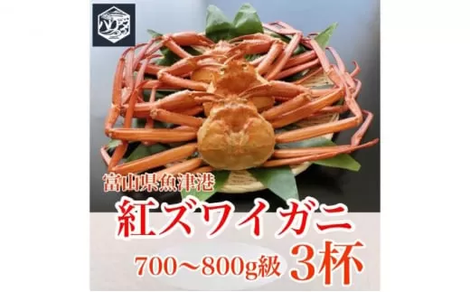 魚卸問屋のベニズワイガニ 700〜800g級×3杯 はりたや ※2023年10月上旬〜2024年5月下旬頃に順次発送予定 ※北海道・沖縄・離島への配送不可◇