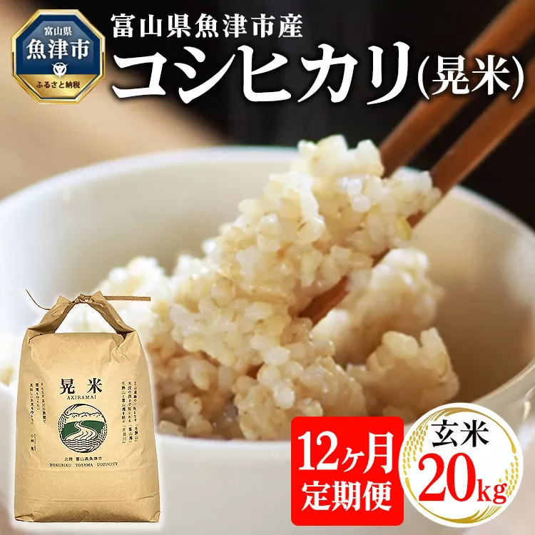 【12ヶ月定期便】【令和6年度米】「魚津のコシヒカリ（晃米）」20kg（玄米） ｜ 環境配慮 MK農産 お米 ブランド米 銘柄米 玄米 ご飯 おにぎり 産地直送 甘み 旨味 香り ※2024年9月中旬頃より順次発送 ※北海道・沖縄・離島への配送不可