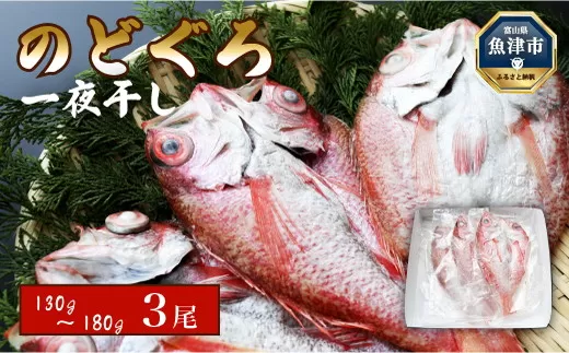 のどぐろ 干物 3尾 富山湾産 130g〜180g級 のどぐろ開き 浜浦水産 魚介 魚介類 海鮮 魚 ひもの