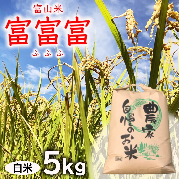 【新米予約】農家直送「 富富富 」5kg（白米）｜富山米 ふふふ　※北海道・沖縄・離島への配送不可　※2024年9月下旬頃より順次発送予定