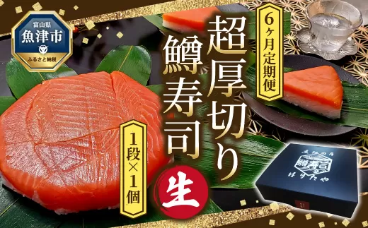 【6ヶ月定期便】【生】魚卸問屋の「鱒寿司」（超厚切り）1段×1個 はりたや