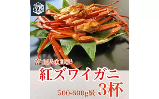 カニ 魚卸問屋のベニズワイガニ 500〜600g 3杯 セット 蟹 かに 紅ズワイガニ はりたや ※2023年10月上旬〜2024年5月下旬頃に順次発送予定 ※北海道・沖縄・離島への配送不可◇