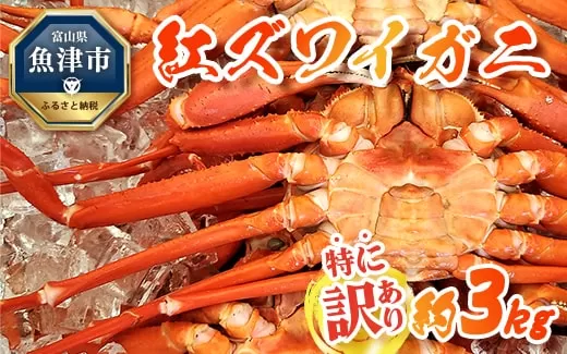 【特に訳あり】魚卸問屋のベニズワイガニ 約3kg ※2023年10月上旬〜2024年5月下旬頃に順次発送予定 ※北海道・沖縄・離島への配送不可◇