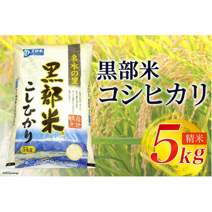 米 令和6年 黒部米 コシヒカリ 5kg 精米 白米 こしひかり お米 / 黒部市農業協同組合 / 富山県 黒部市