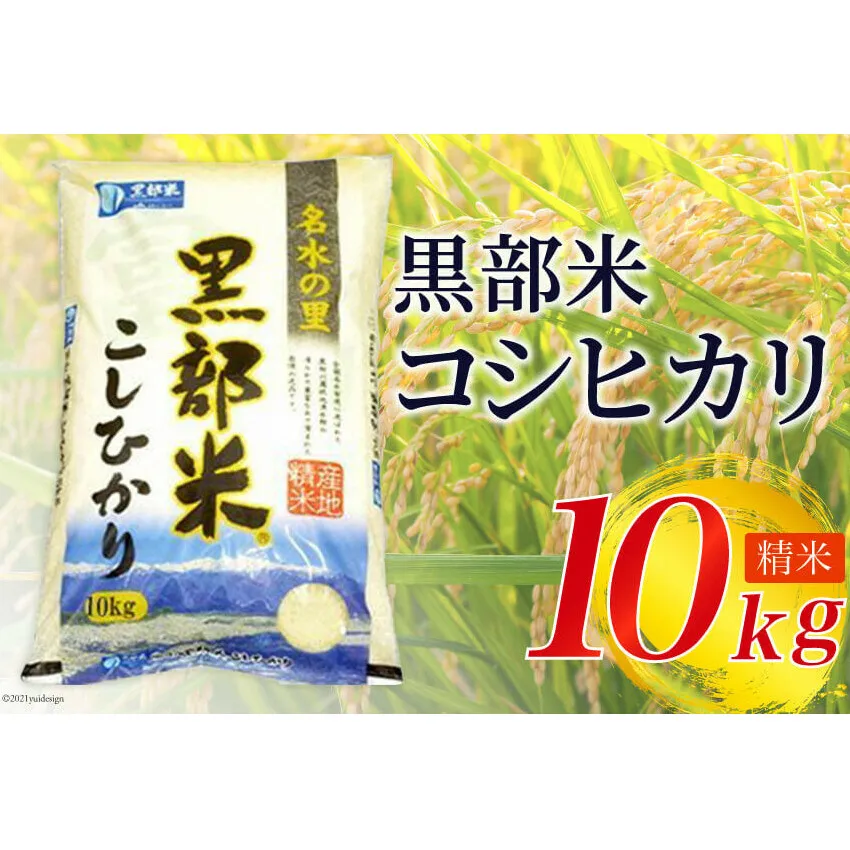 米 令和6年 黒部米 コシヒカリ 10kg  精米 白米 こしひかり 米/黒部市農業協同組合/富山県 黒部市【ご飯 名水】