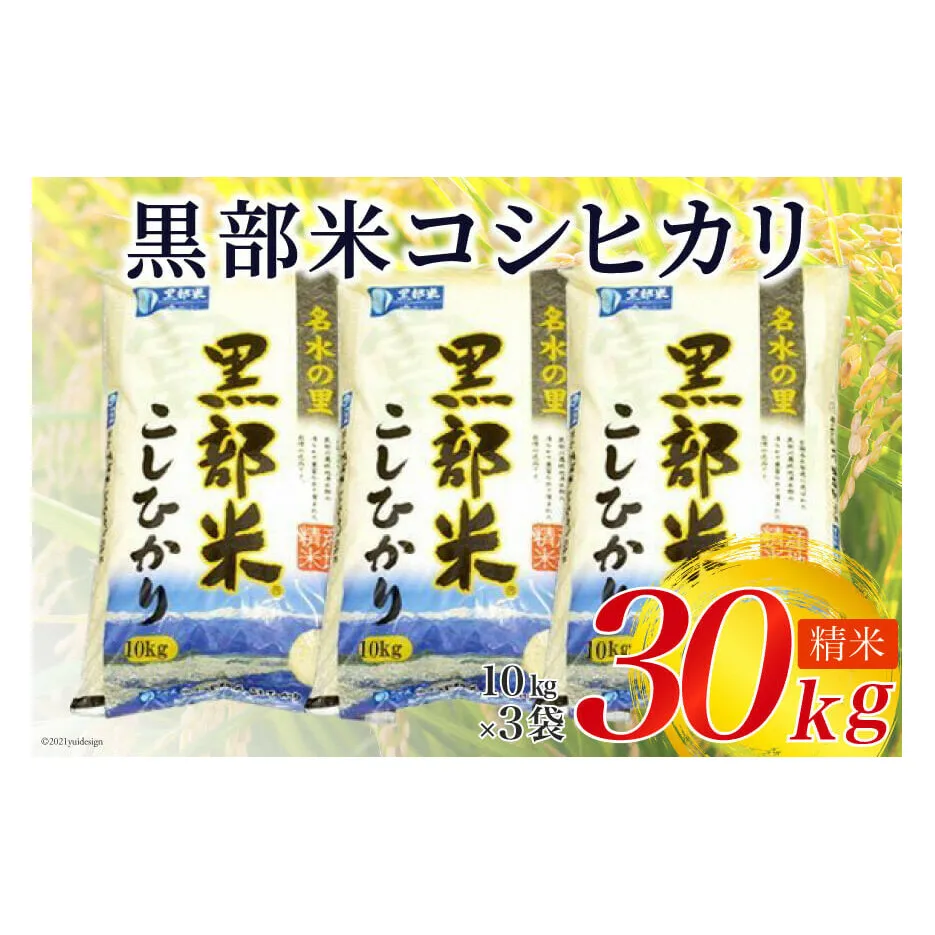 米 令和6年 黒部米 コシヒカリ 10kg×3袋 計30kg 精米 白米 こしひかり お米/黒部市農業協同組合/富山県 黒部市