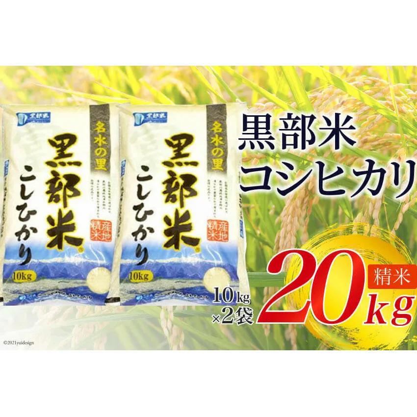 米 令和6年 黒部米 コシヒカリ 10kg×2袋 計20kg 精米 白米 こしひかり お米/黒部市農業協同組合/富山県 黒部市