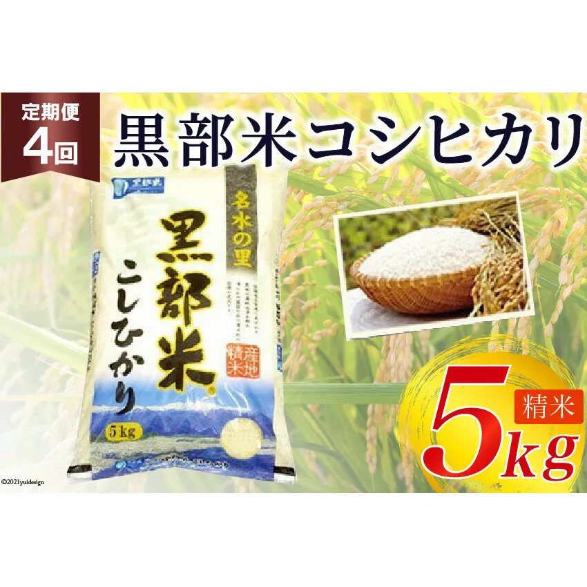 定期便 米 黒部米 コシヒカリ 5kg×4回 総計20kg 精米 白米 こしひかり お米 /黒部市農業協同組合/富山県 黒部市