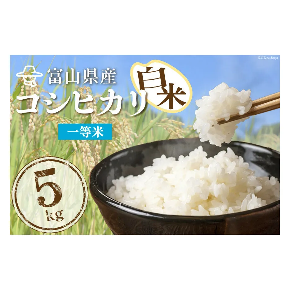 米 精米 コシヒカリ 5kg コメ ご飯 ごはん 白米/林農産/富山県 黒部市