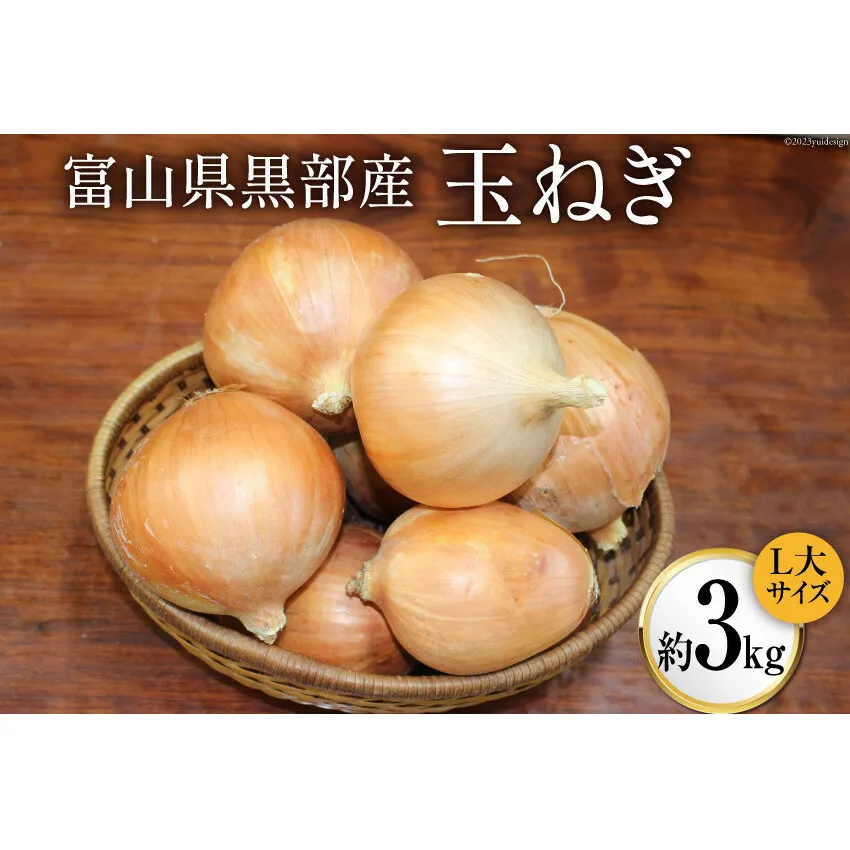 玉ねぎ 1箱 約3kg（L大サイズ）/くろべの太陽/富山県 黒部市