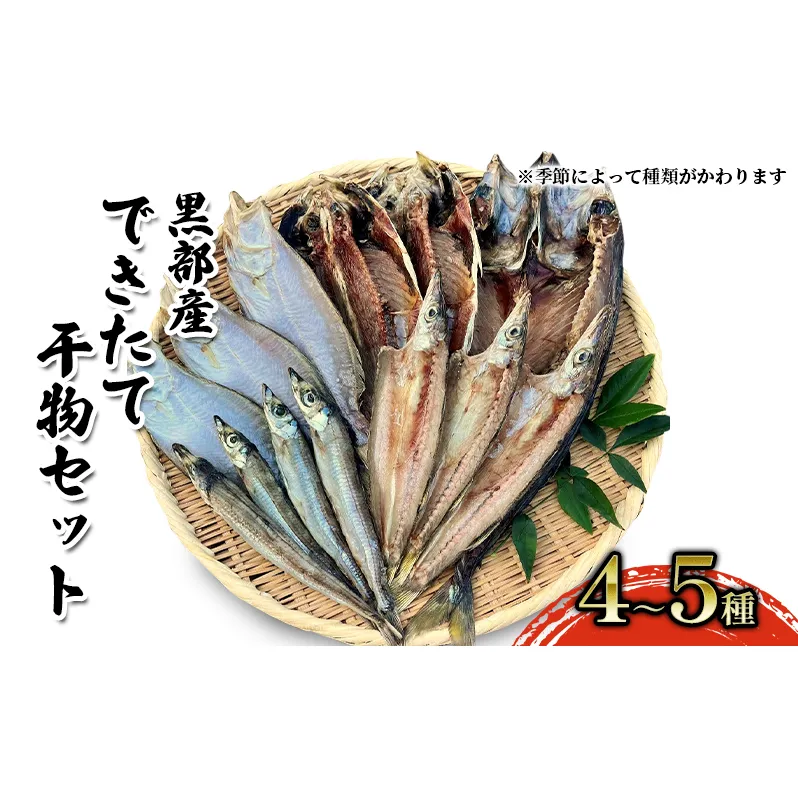 できたて干物セット 4～5種 おまかせ 富山県黒部市/産地直送 旬 魚介 魚 さかな 詰め合わせ ひもの 富山湾 名水 産地直送 生地