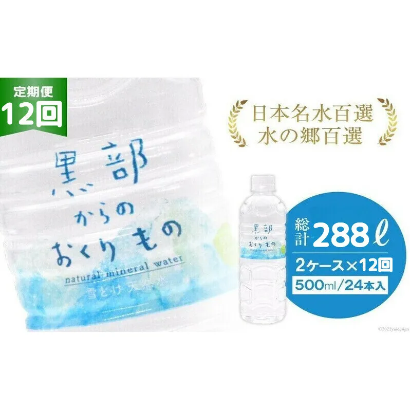 【合計576本】定期便 黒部からのおくりもの 500ml×24本×2ケース×12回 総計288L 名水百選 黒部の名水 防災 アウトドア ペットボトル 飲料水 ミネラルウォーター 2個口配送/IAC/富山県 黒部市