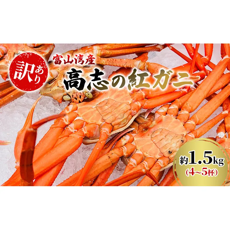 【訳あり】富山湾産カニ 高志の紅ガニ お買い得 約1.5kg（4～5杯）富山県黒部市/紅ズワイ カニ 漁師直販 恵比須丸